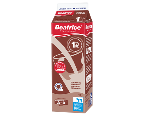 Chocolate Partly Skimmed Milk 1L