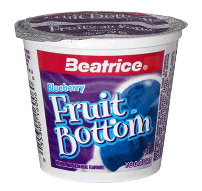 Fruit on the Bottom Blueberry Yogourt 175 g