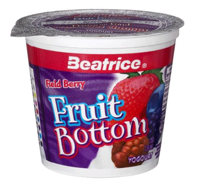 Fruit on the Bottom Field Berry Yogourt 175 g