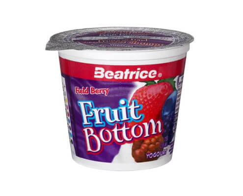 Fruit on the Bottom Field Berry Yogourt 175g